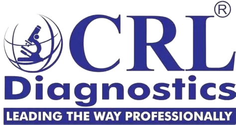 OIP-removebg-preview (1).png